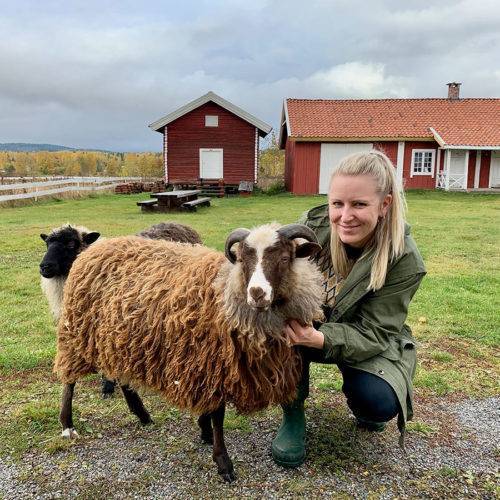 Fargerik etterforsker flyttet hjem