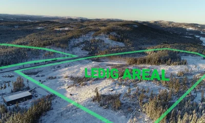 Ledig areal 1