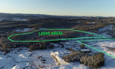 Ledig areal 2